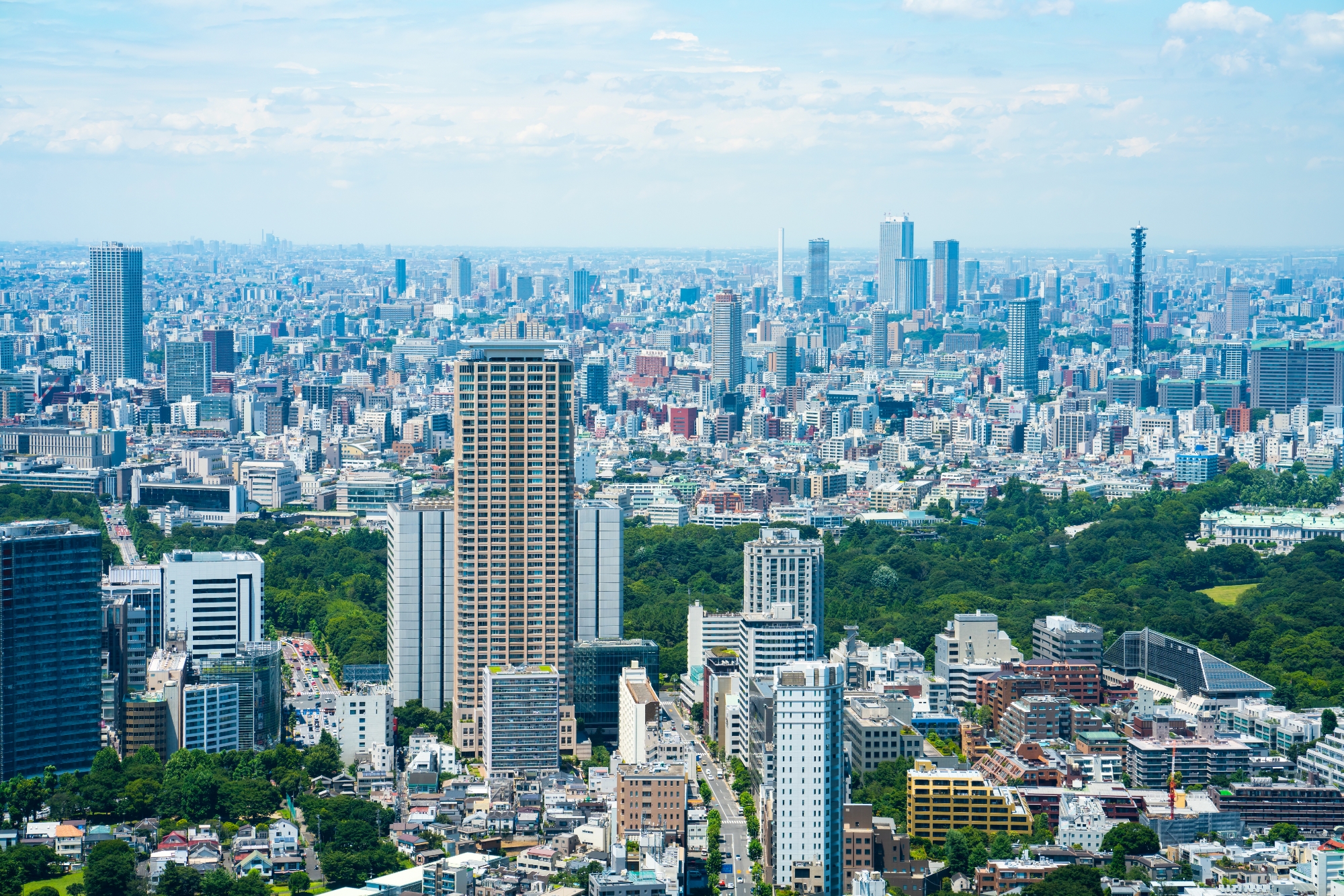 法的効力日として事業開始しました。
