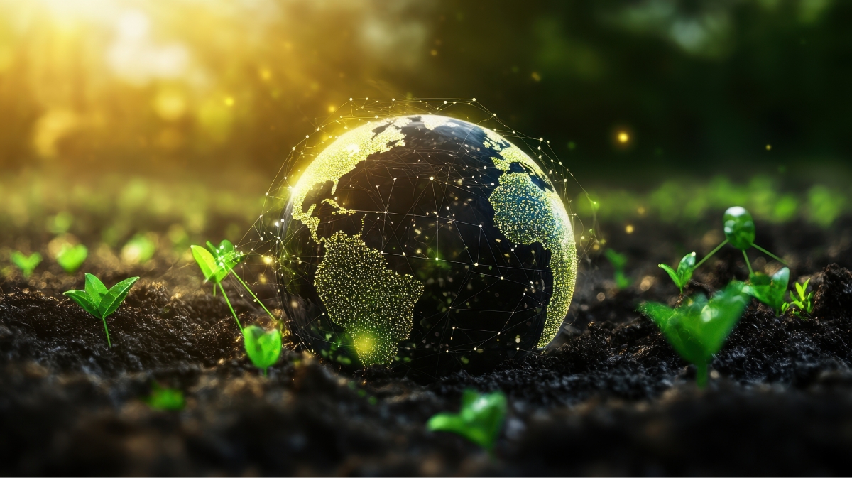 Sustainability